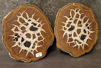 Septaria  Knölar / Nodules  - 2 delar