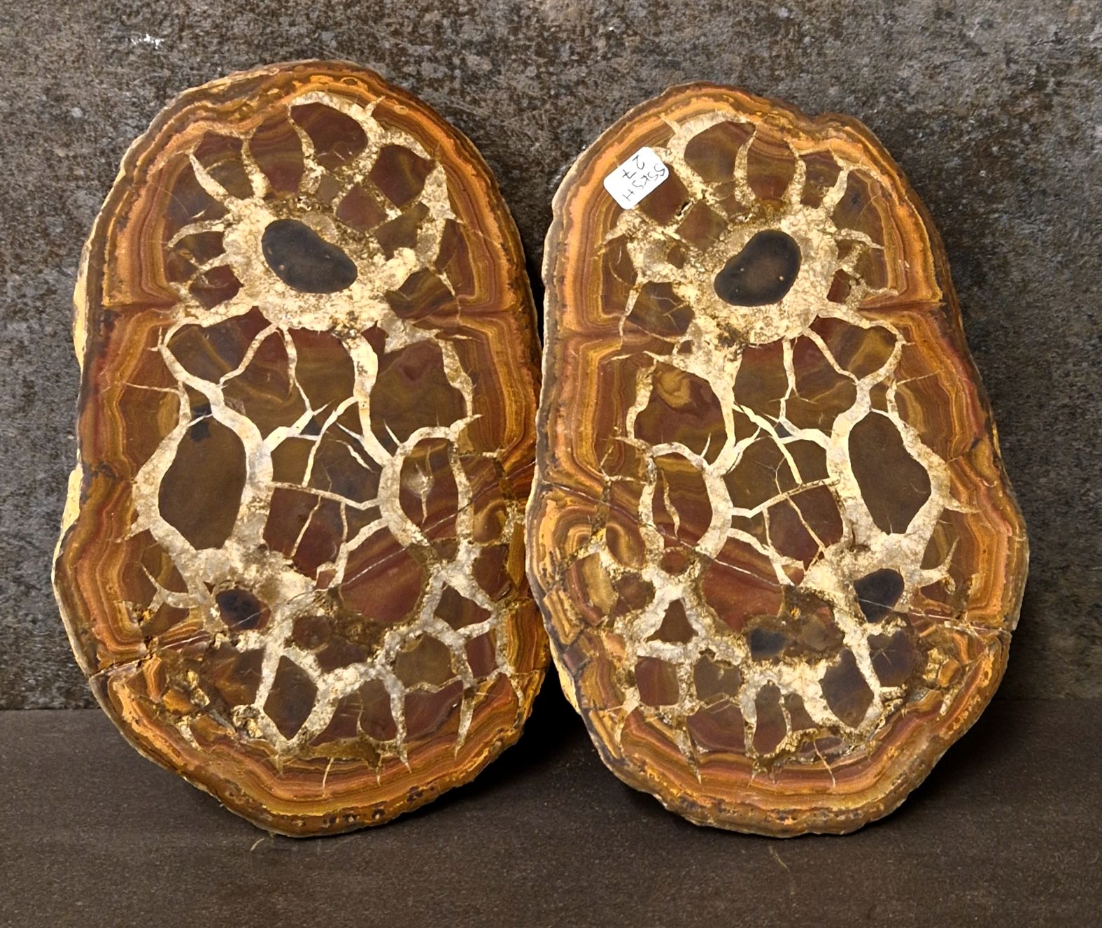 Septaria  Knölar / Nodules  - 2 delar