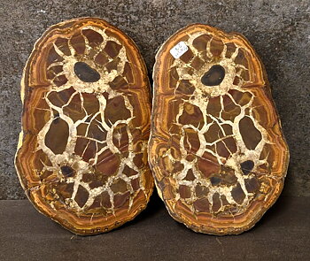 Septaria  Knölar / Nodules  - 2 delar