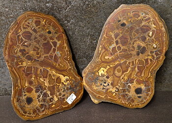 Septaria  Knölar / Nodules  - 2 delar