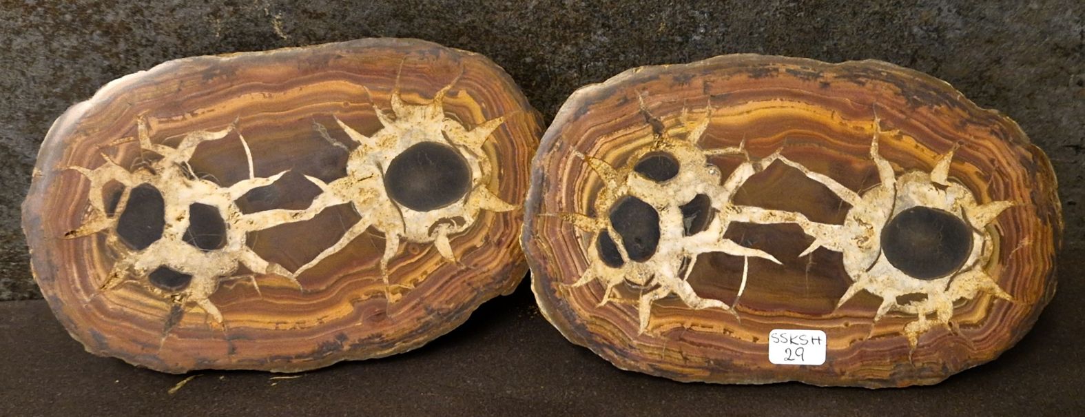 Septaria  Knölar / Nodules  - 2 delar
