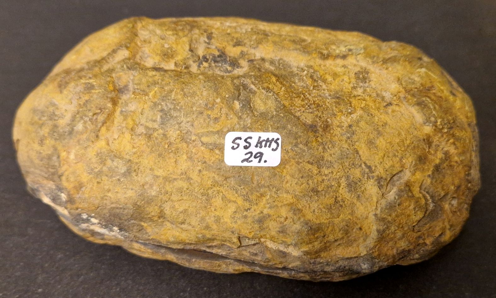 Septaria  Knölar / Nodules  - 2 delar - 2