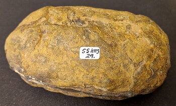 Septaria  Knölar / Nodules  - 2 delar