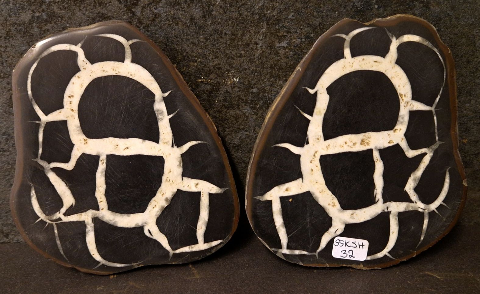 Septaria  Knölar / Nodules  - 2 delar