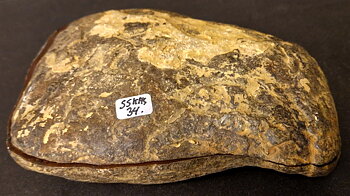 Septaria  Knölar / Nodules  - 2 delar