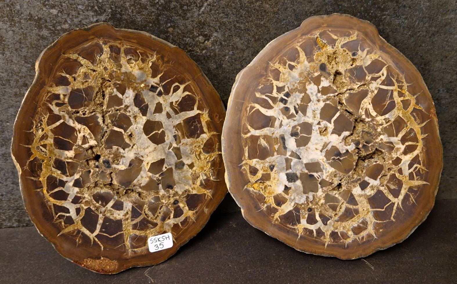 Septaria  Knölar / Nodules  - 2 delar