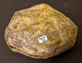 Septaria  Knölar / Nodules  - 2 delar