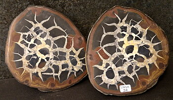 Septaria  Knölar / Nodules  - 2 delar