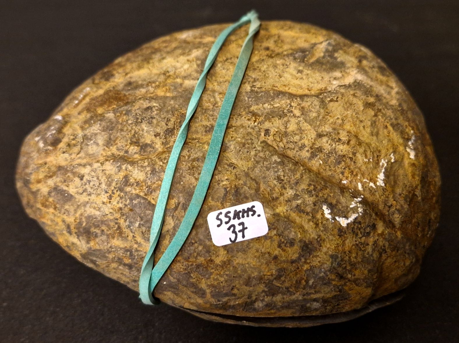 Septaria  Knölar / Nodules  - 2 delar - 2