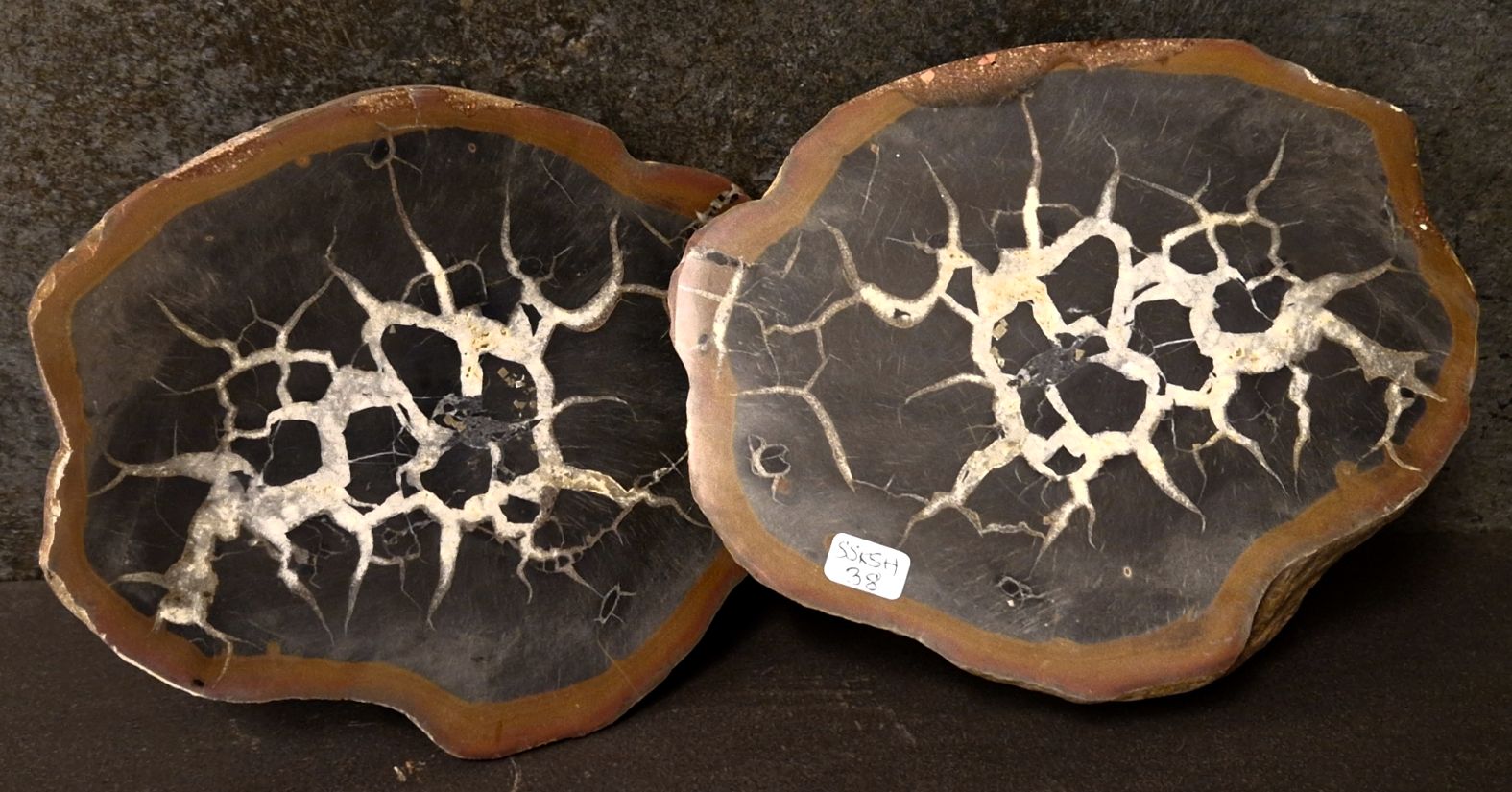 Septaria  Knölar / Nodules  - 2 delar