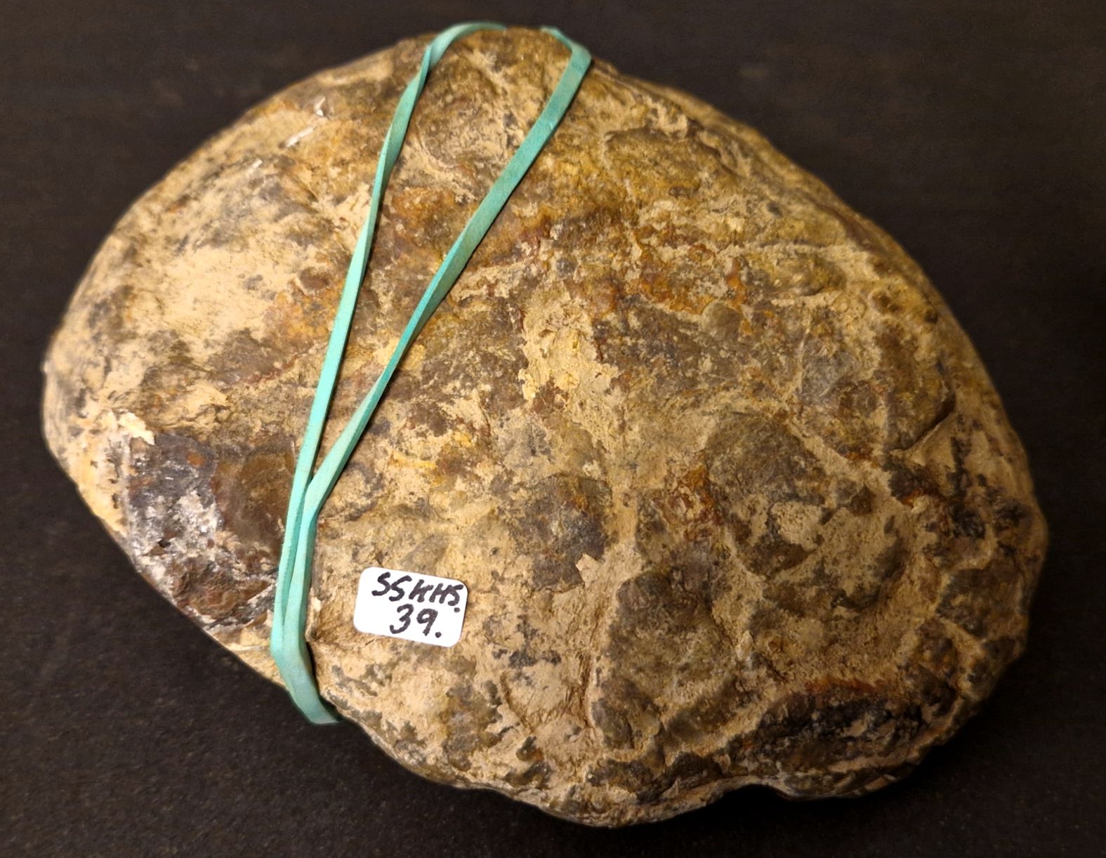 Septaria  Knölar / Nodules  - 2 delar - 2