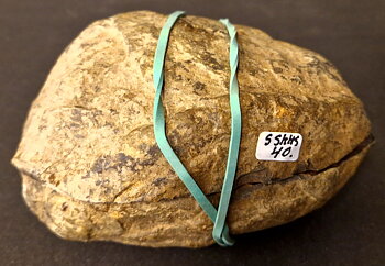 Septaria  Knölar / Nodules  - 2 delar