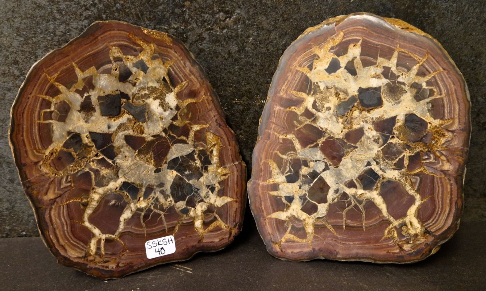 Septaria  Knölar / Nodules  - 2 delar