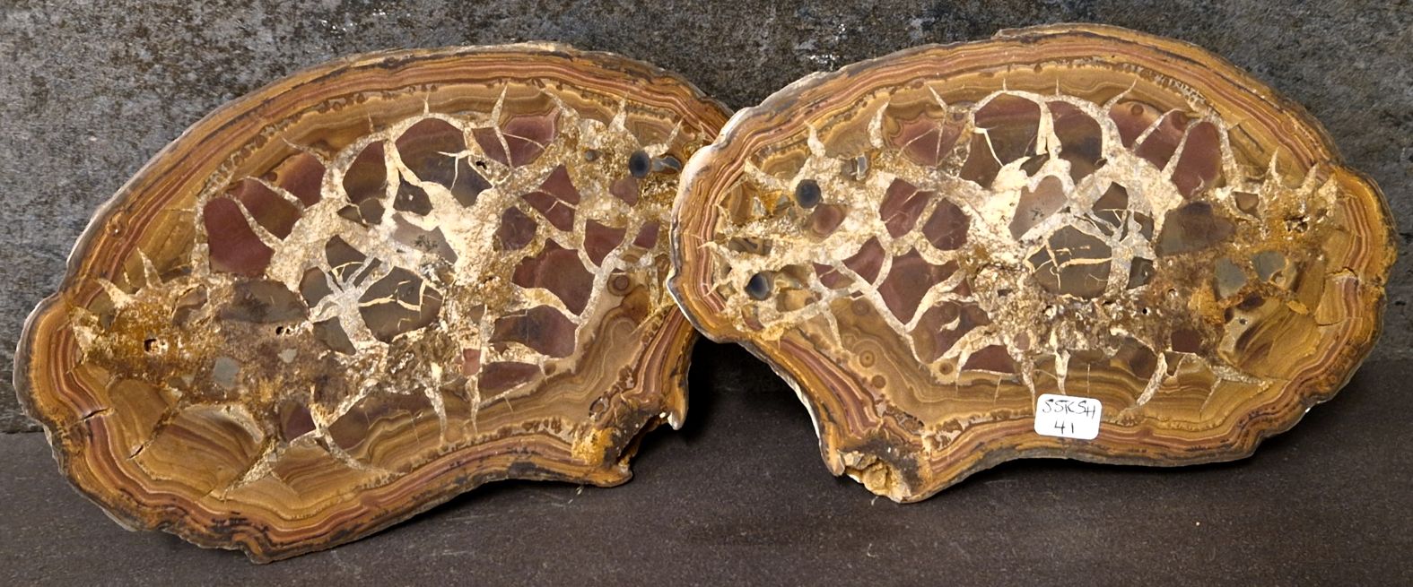 Septaria  Knölar / Nodules  - 2 delar