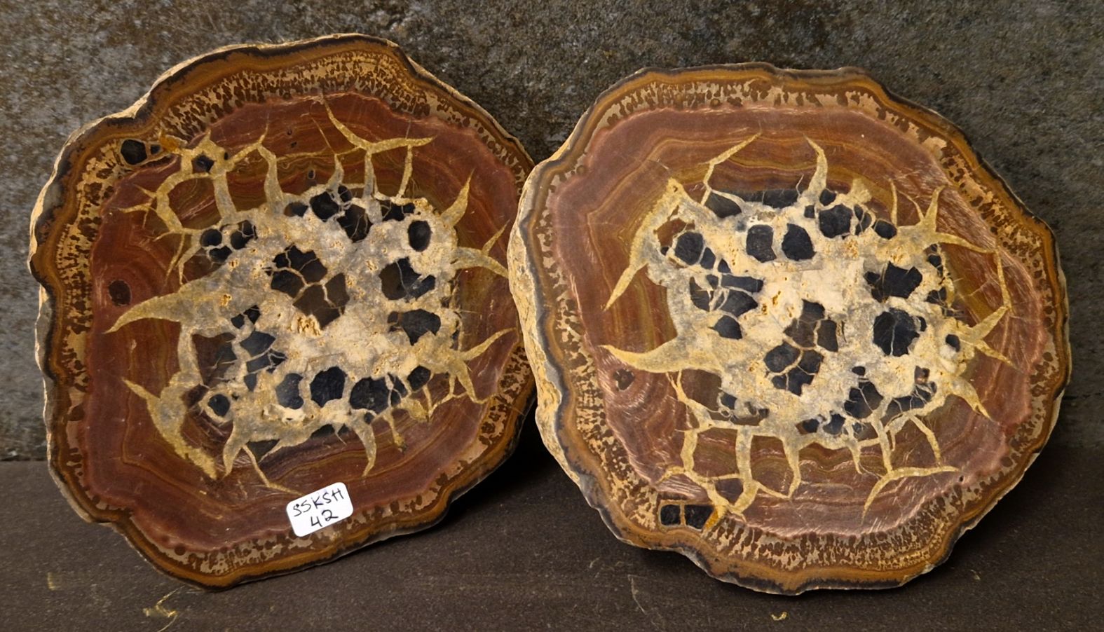 Septaria  Knölar / Nodules  - 2 delar