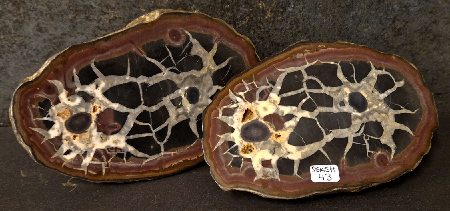 Septaria  Knölar / Nodules  - 2 delar