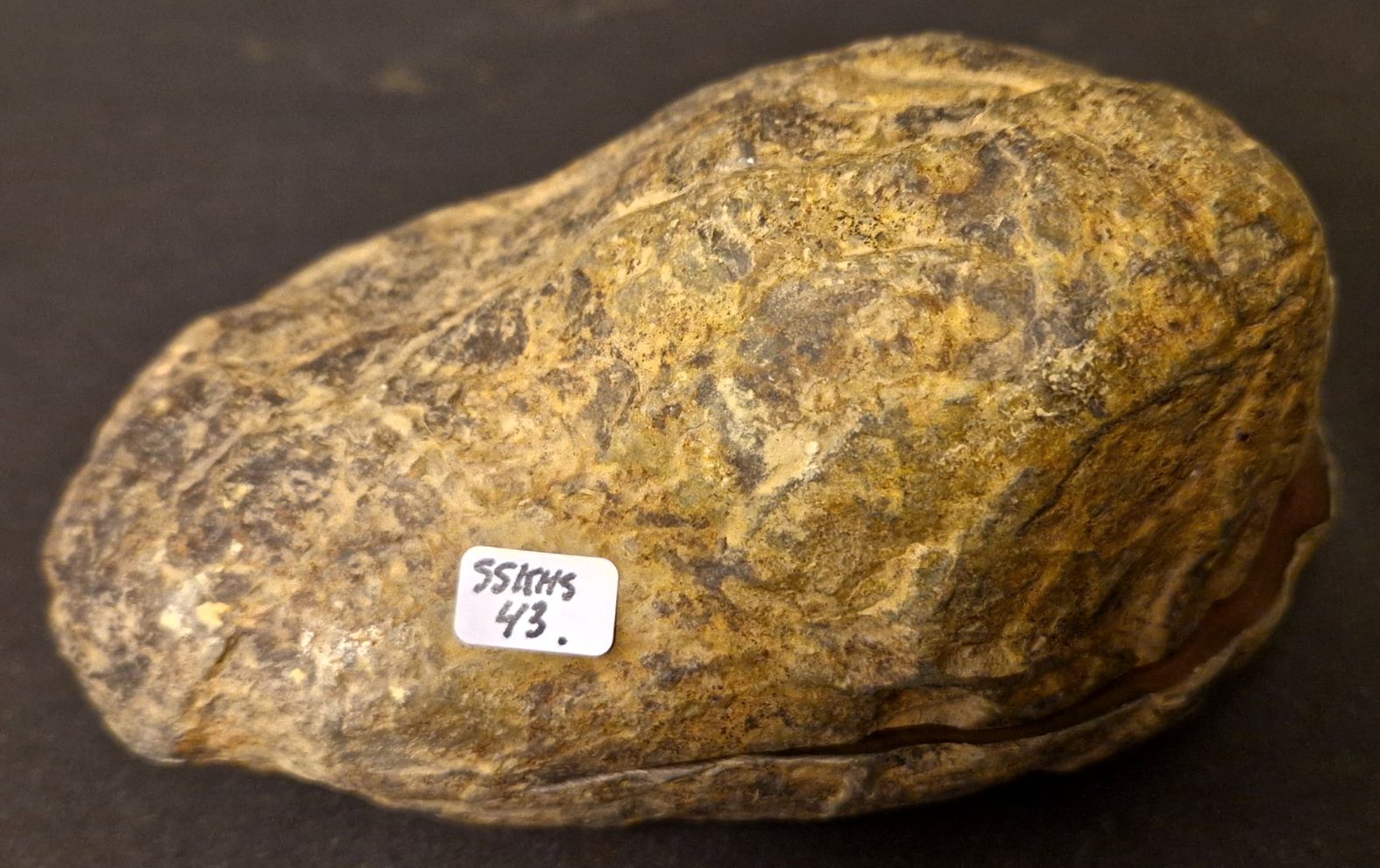 Septaria  Knölar / Nodules  - 2 delar - 2