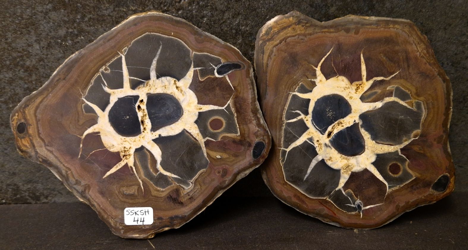 Septaria  Knölar / Nodules  - 2 delar