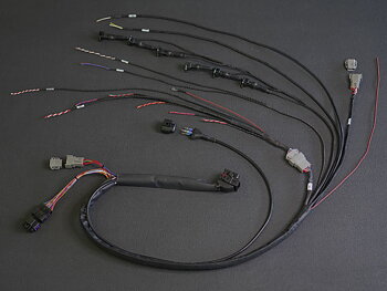 Qwickloom Flexfit - 90% Pre-Wired Universal MaxxECU Engine Harness