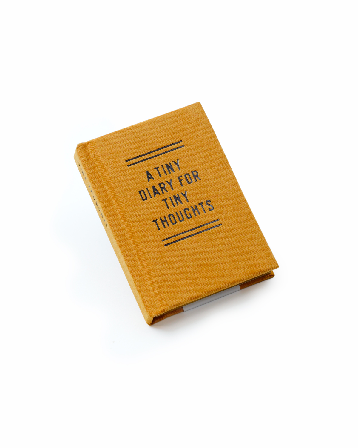 A Tiny Diary for Tiny Thoughts