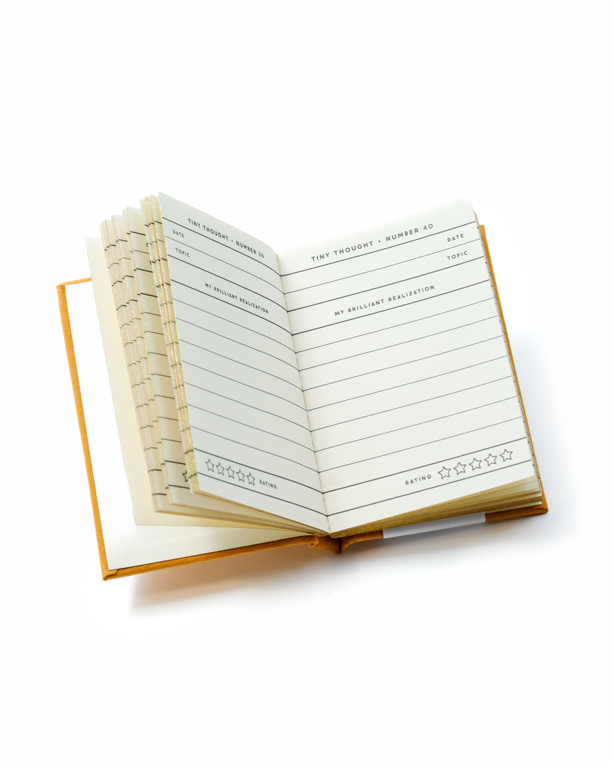 A Tiny Diary for Tiny Thoughts