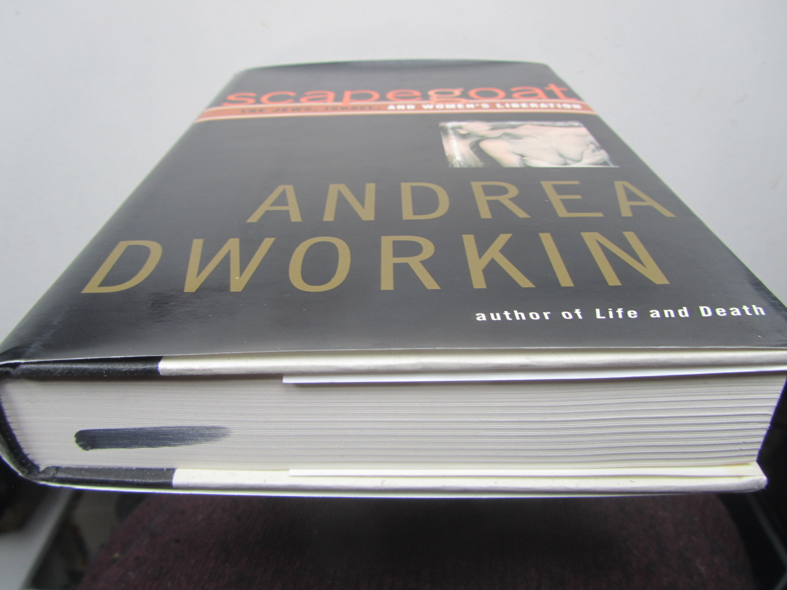 Andrea Dworkin : Scapegoat: The Jews, Israel, and Women's Liberation - 5