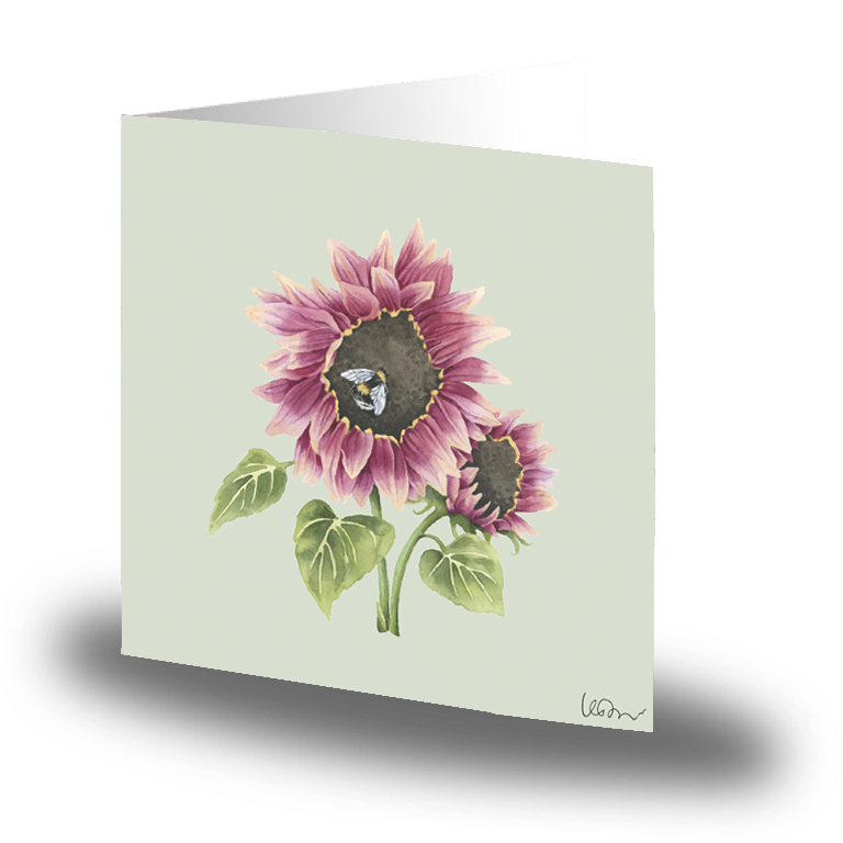 Cards By jojo Solros Litet Kort