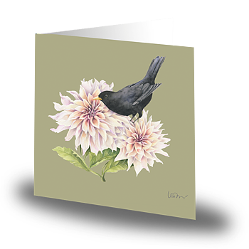 Cards By Jojo Koltrast Litet Kort