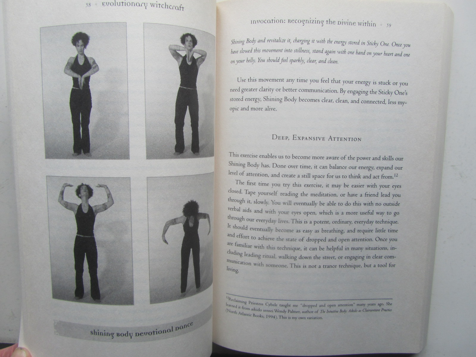Evolutionary Witchcraft - T. Thorn Coyle - 3