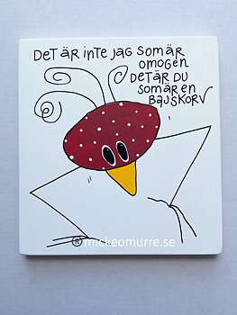 Det är inte jag som är omogen det är du som är en bajskorv