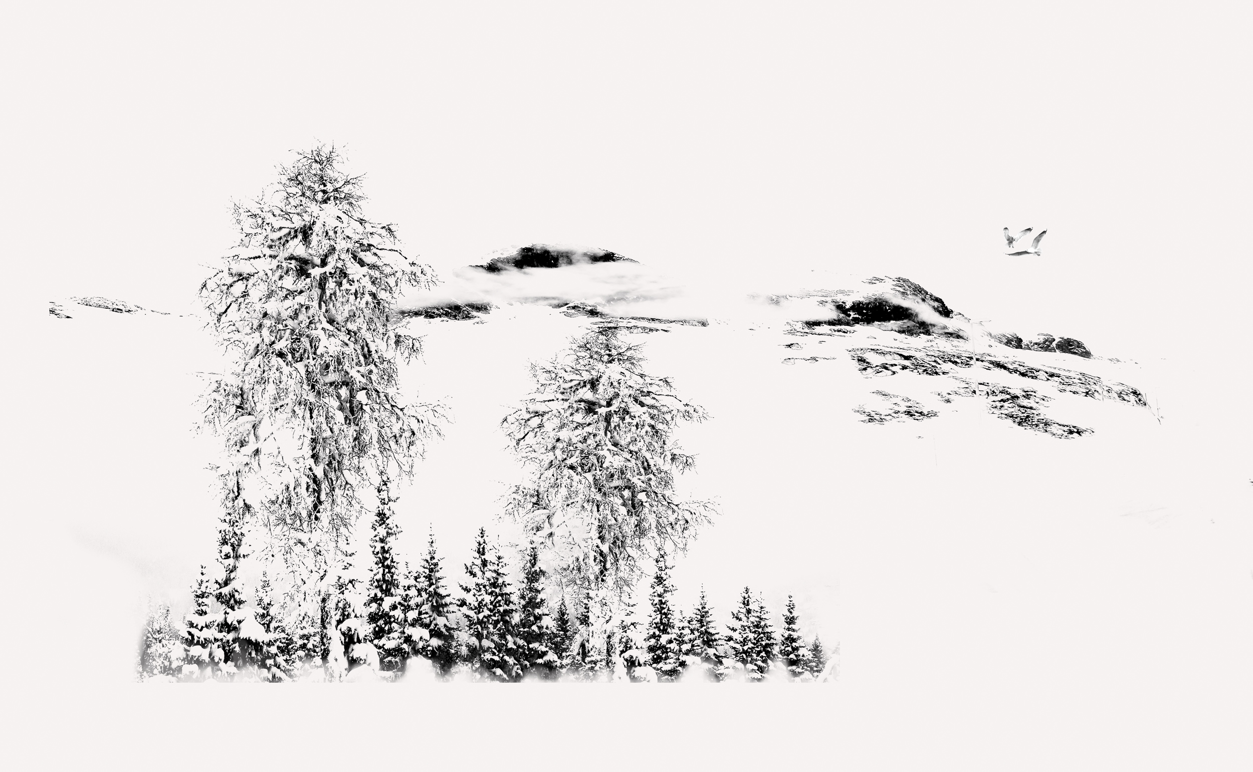 FjellLandskap