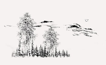 FjellLandskap