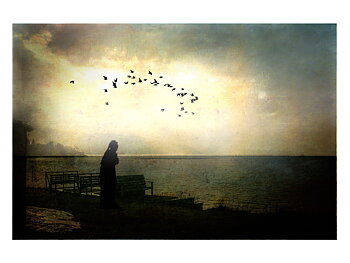 "Looking West"
