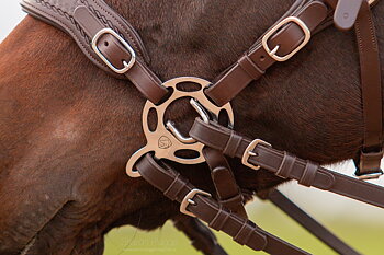 Hackamore skänklar&nbsp;EDIX® Halo PRO