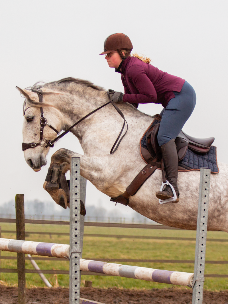 Hackamore Edix© Halo PRO - 7