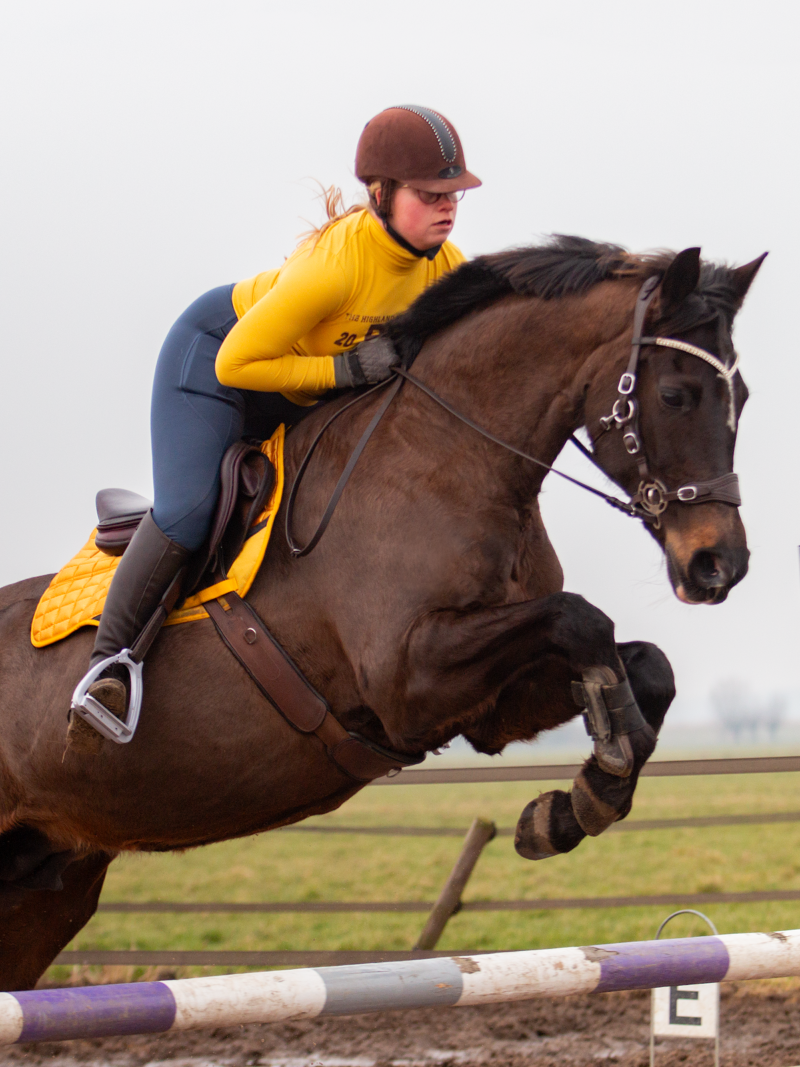 Hackamore Edix© Halo PRO - 8