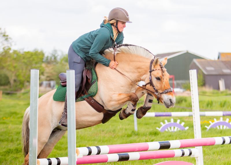 Hackamore Edix© Halo PRO - 6