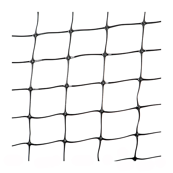 D-Flex - 2