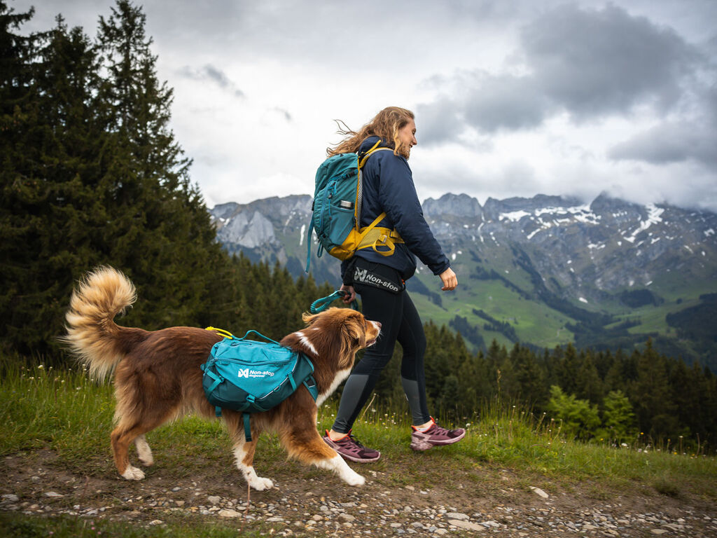 Non-Stop Dogwear Trailquest Backpack for Dog - Blue - Functional