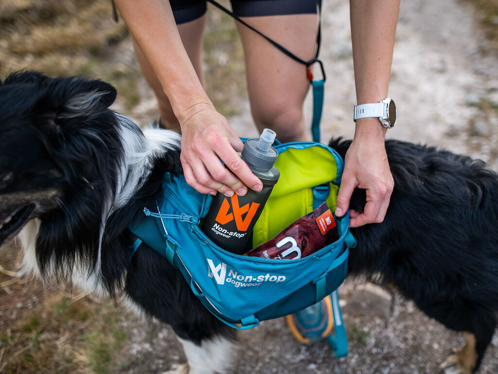 Non-Stop Dogwear Trailquest Backpack for Dog - Blue - Ergonomic