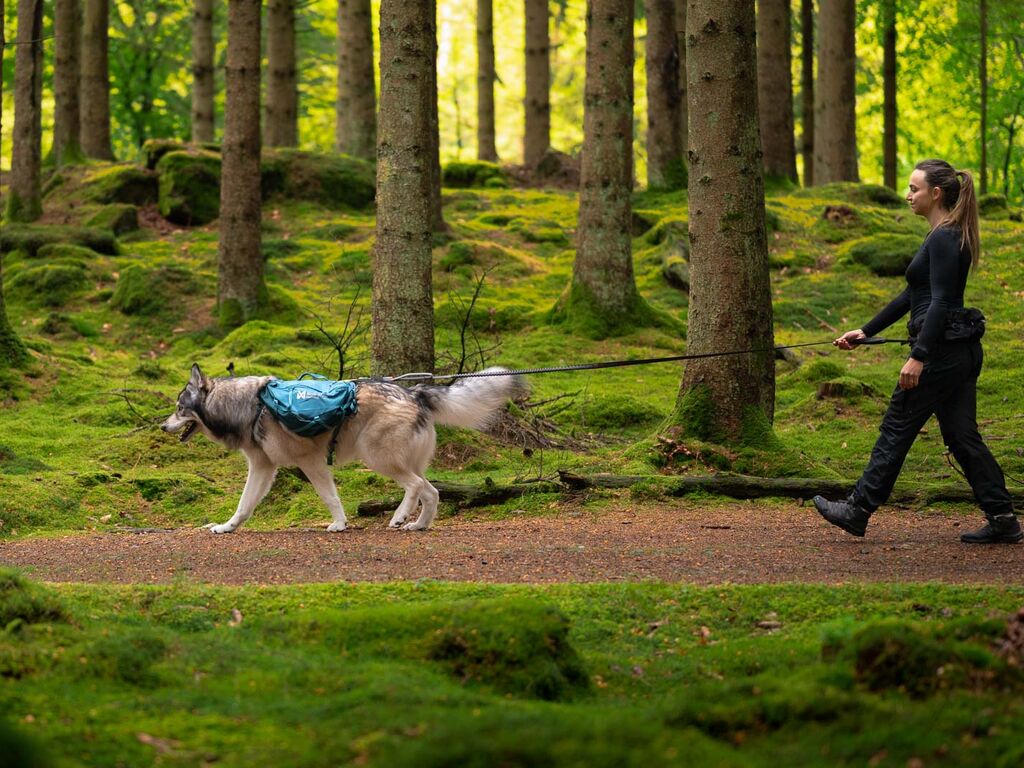 Non-Stop Dogwear Trailquest Backpack for Dog - Blue - Reliable