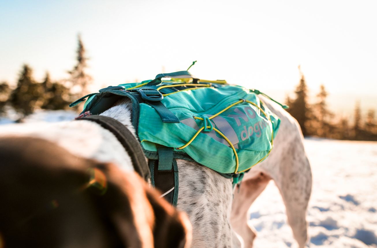 Non-Stop Dogwear Trail Light Backpack for Dogs - Teal - Ergonomic