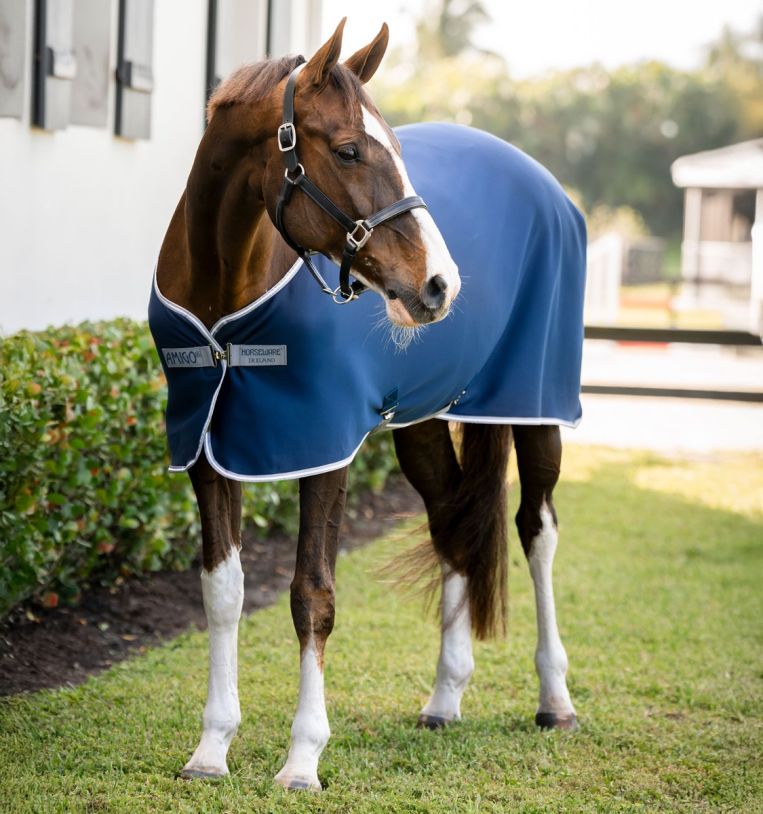 Horseware Amigo Jersey Pony Cooler Sweat Sheet - Navy/Titanium Grey & Silver - Soft