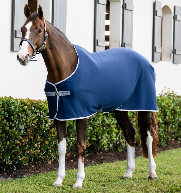 Horseware Amigo Jersey Ponny kjøledekken - Navy/Titanium Grey &amp; Silver (75cm (3'9"))