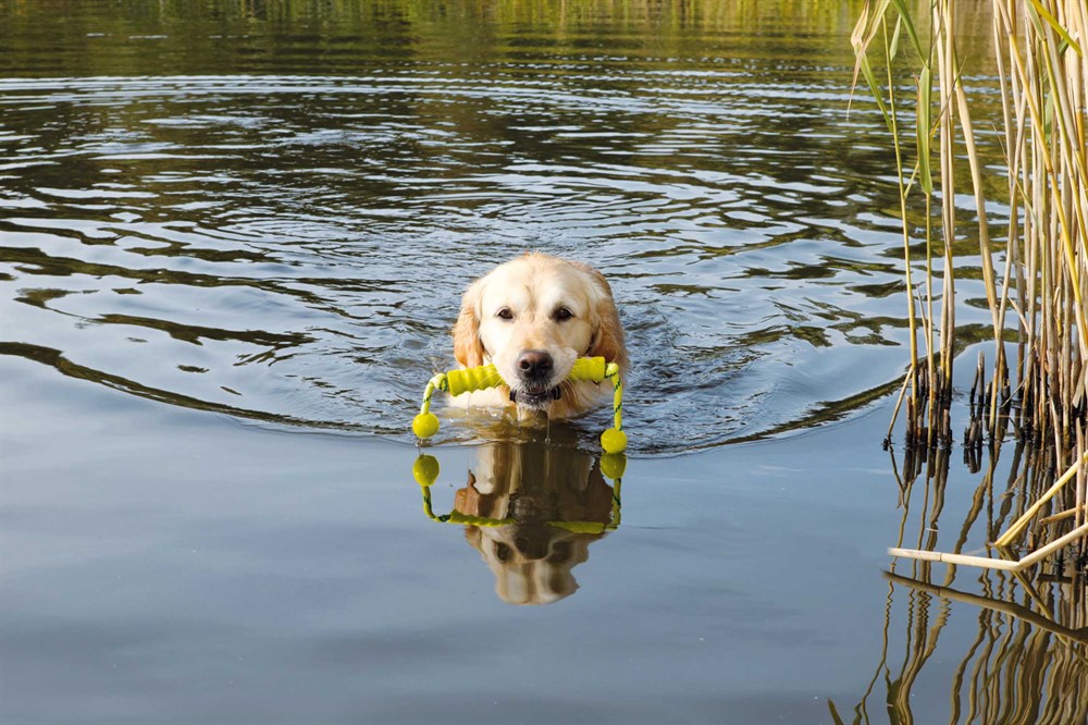 Dog Activity Mot-Long, flytande - 3