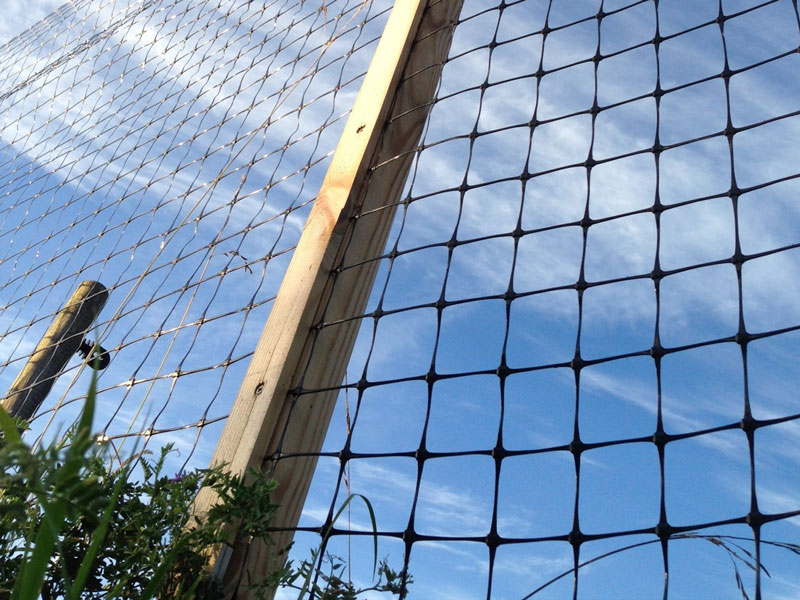 Skyddsnät 50 - 2
