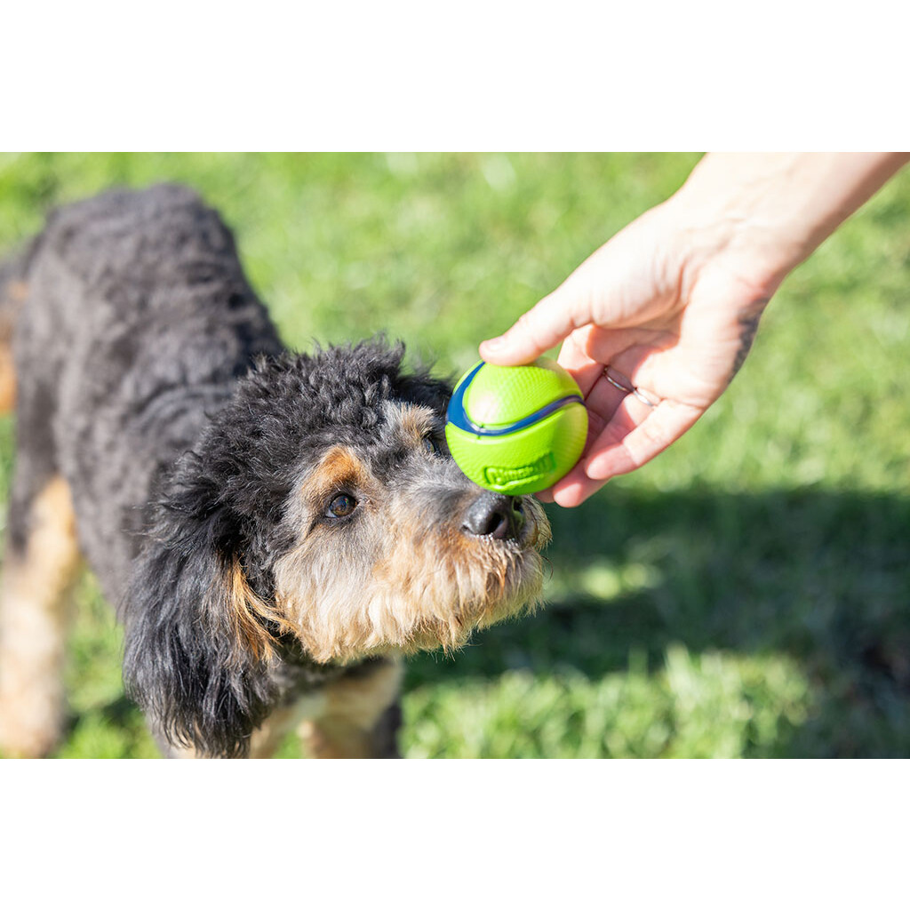 Chuckit! Sniff Bacon & Peanut Butter Dog Toy Ball M – 4-pack - Retrieve 