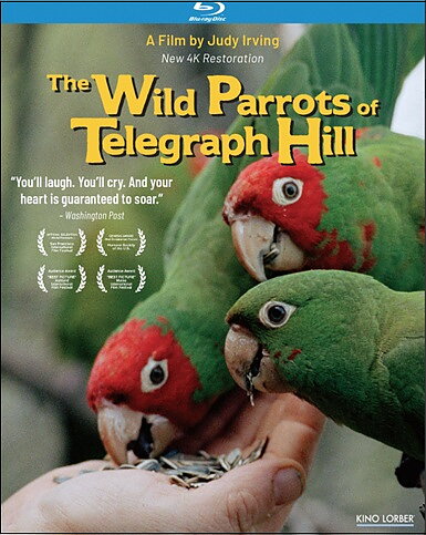 Wild Parrots Of Telegraph Hill (BLU-RAY)