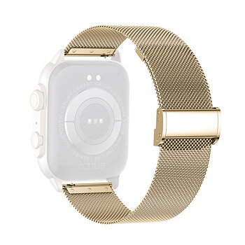 Philippe Palmer Mesh Strap Gold LP27 AMOLED