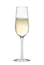 Champagneglas Wineline 20 cl